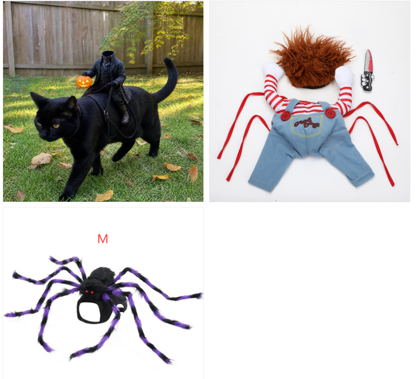 9f0db27f 39d0 4b5a b769 a2e505a97aea.jpg 9f0db27f 39d0 4b5a b769 a2e505a97aea.jpg