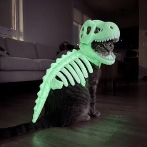 dark-dinosaur-skeleton-pet-costume-spooky-fun-halloween-look